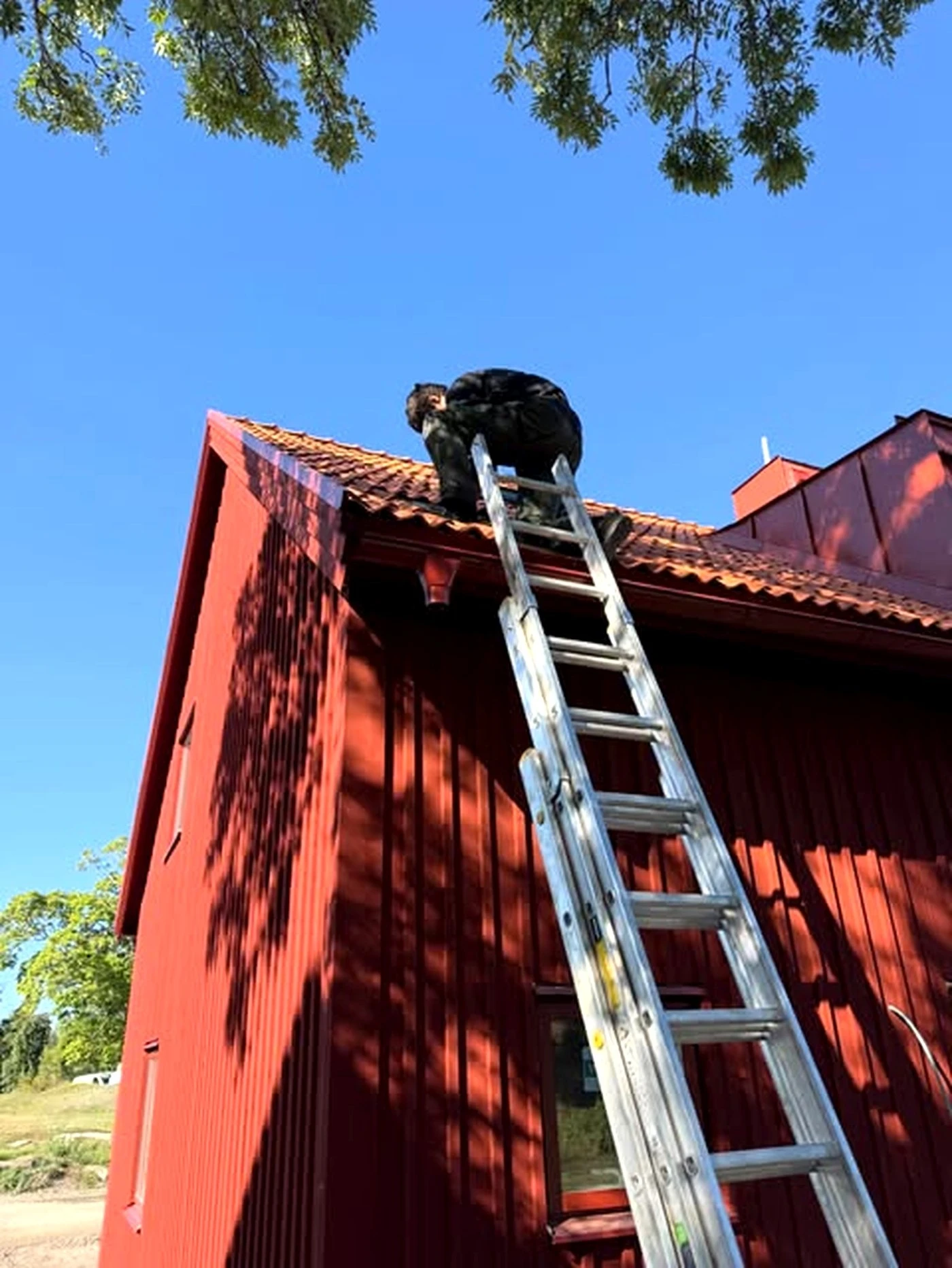 Ventkraft-tekniker på stege vid takarbete på en villa